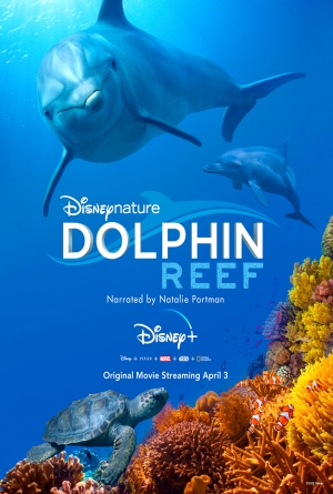 Dolphin Reef izle