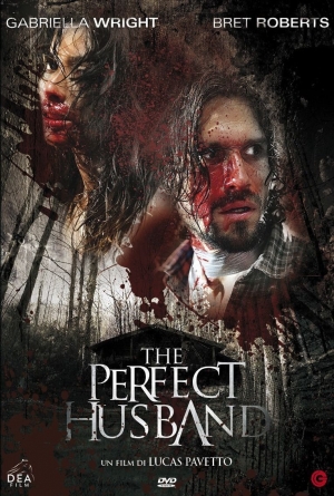 The Perfect Husband izle